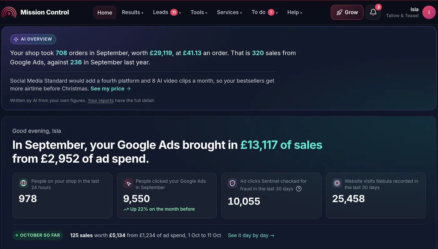 Mission Control home screen for the demo account: an AI overview, the month's sales from Google Ads and live tool figures